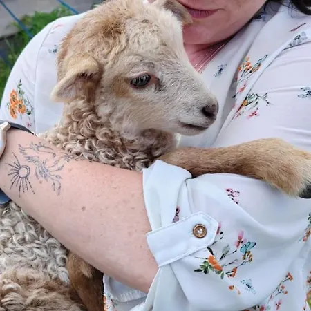 U Kočky Apartamento