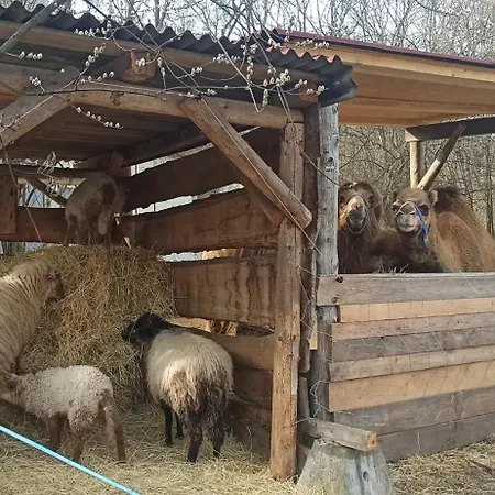 Apartmán U Kočky