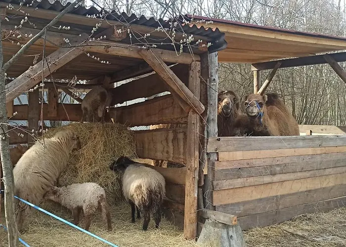 Apartamento U Kočky